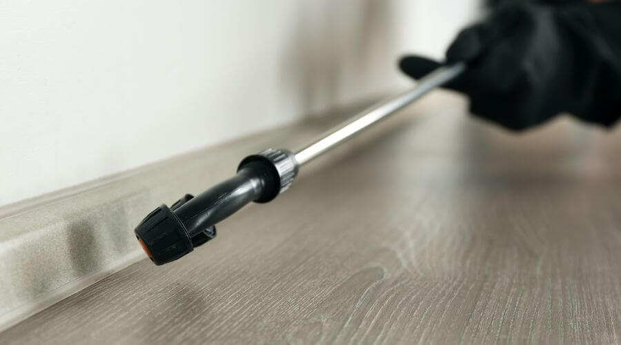 Professional pest control services in Rutherford